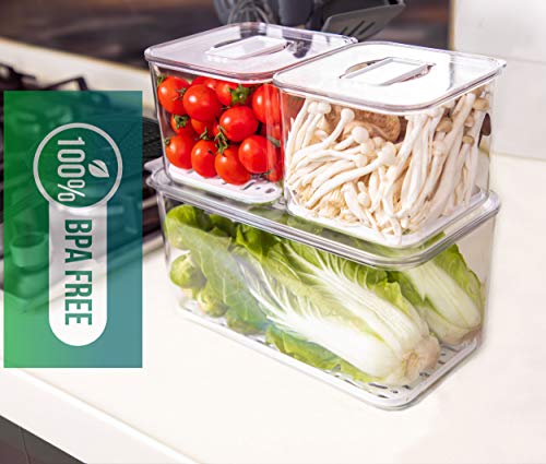 Wavelux Produce Saver Containers for Refrigerator, Food Fruit Vegetables storage, 3 Piece Stackable Fridge Freezer Organizer, Fresh Keeper Drawer Bin Basket with Vented Lids & Removable Drain Tray