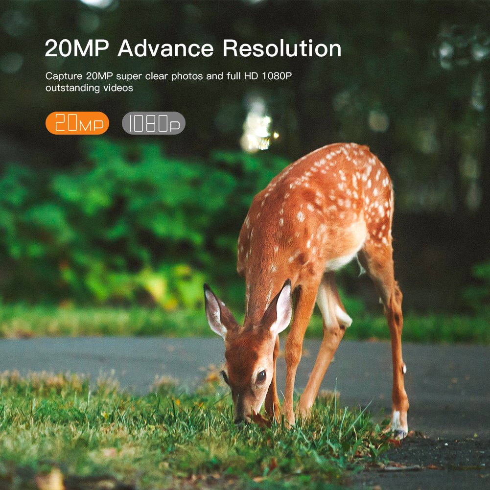 apeman wildlife camera 20mp 1080p